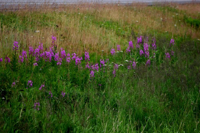 070404 Hope Hatcher Montana Creek (10092)